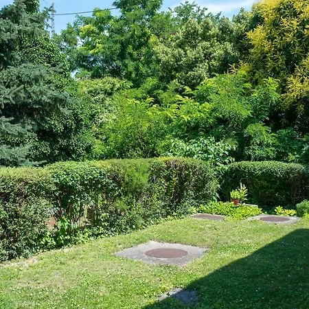 Balaton Close To The