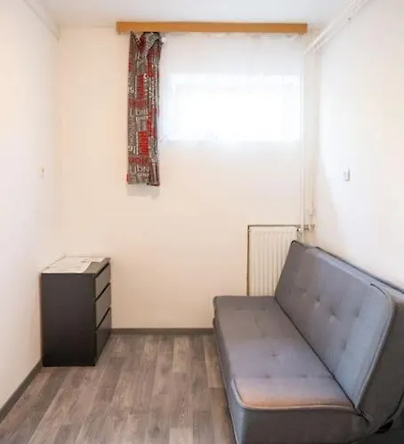 Balaton Close To The Balatonkenese