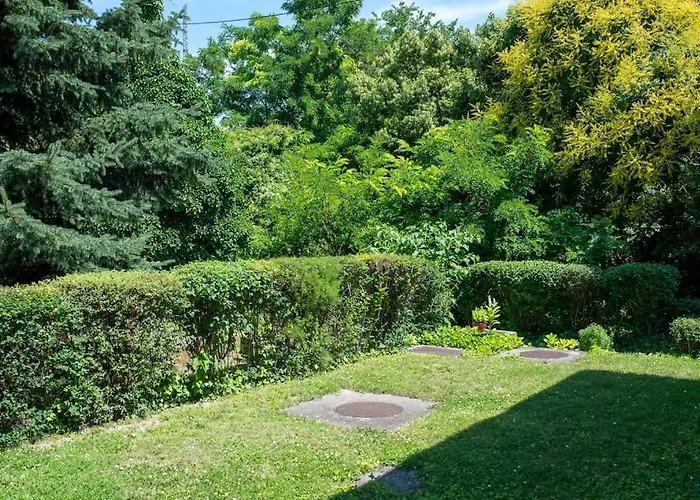 Balaton Close To The